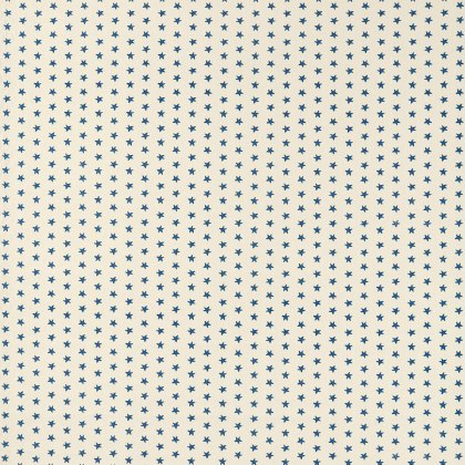 Seastar Natural PVC Seastar Natural PVC