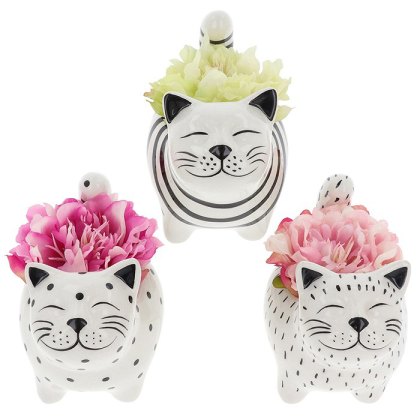 Shudehill Quirky Cat Small Planter Shudehill Quirky Cat Small Planter