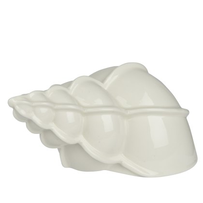Kaemingk Porcelain Off White Shell Kaemingk Porcelain Off White Shell