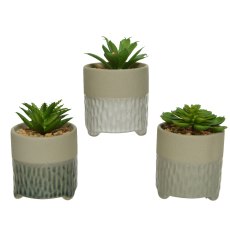 Kaemingk Plastic Potted Short Faux Succulent Kaemingk Plastic Potted Short Faux Succulent