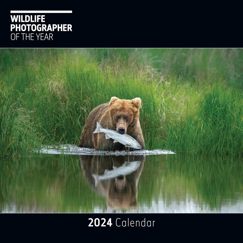 Wildlife Photographer Of Year 2024 Wall Calendar Aldiss   47432 52364 