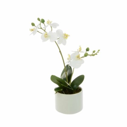 Floralsilk White Phalaenopsis in Pot