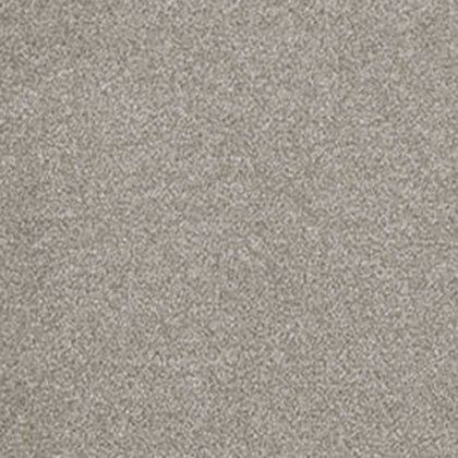 Cassius In Duante Carpet Cassius In Duante Carpet