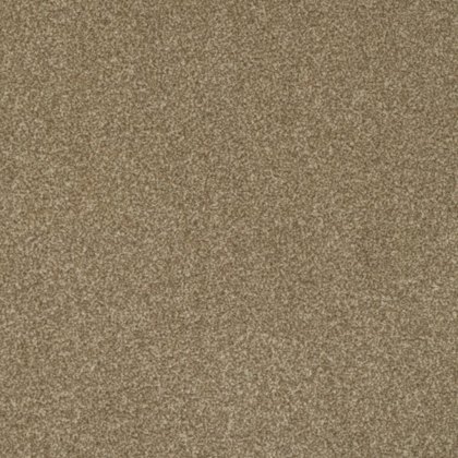 Day Dreams In Fresh Carpet Day Dreams In Fresh Carpet