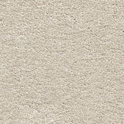 Magnificus In Silkworm Carpet Magnificus In Silkworm Carpet