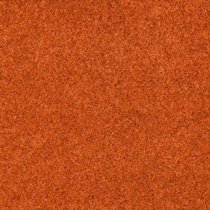 Pentwist Colour In Salsa Carpet Pentwist Colour In Salsa Carpet