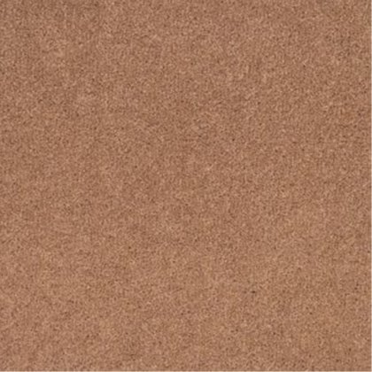 Pentwist Natural In Cappuccino Carpet Pentwist Natural In Cappuccino Carpet