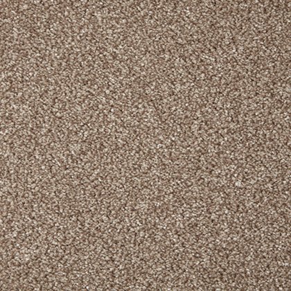 Primo Grande In Beaver Carpet Primo Grande In Beaver Carpet