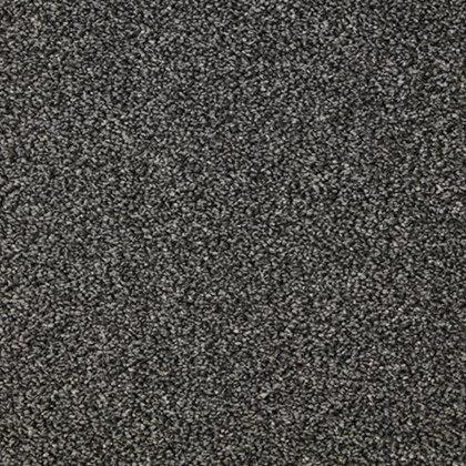 Primo Grande In Raven Carpet Primo Grande In Raven Carpet