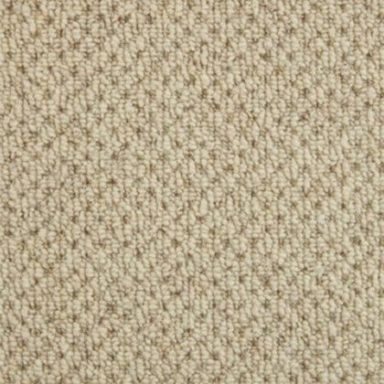 Selsey Plains Carpet in Autumn Devon Selsey Plains Carpet in Autumn Devon