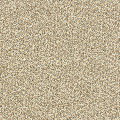 Stainfree Tweed In Cool Beige Carpet Stainfree Tweed In Cool Beige Carpet