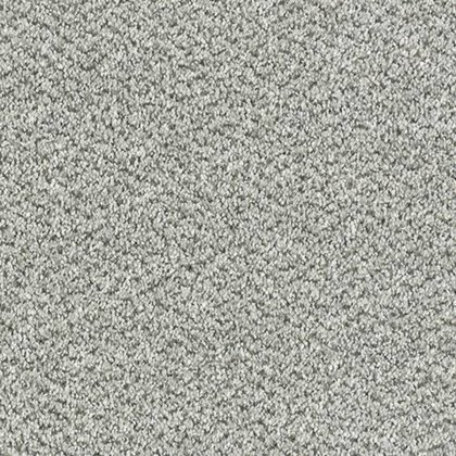 Stainfree Tweed In Silver Shadow Carpet Stainfree Tweed In Silver Shadow Carpet