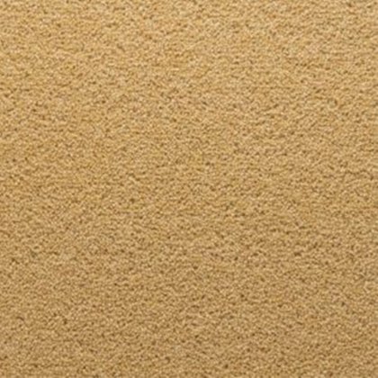 Stateside In Ellis Carpet Stateside In Ellis Carpet