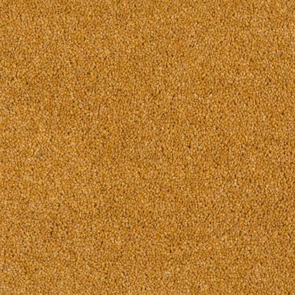 Aldiss Heritage Twist in Old Gold Carpet Aldiss Heritage Twist in Old Gold Carpet