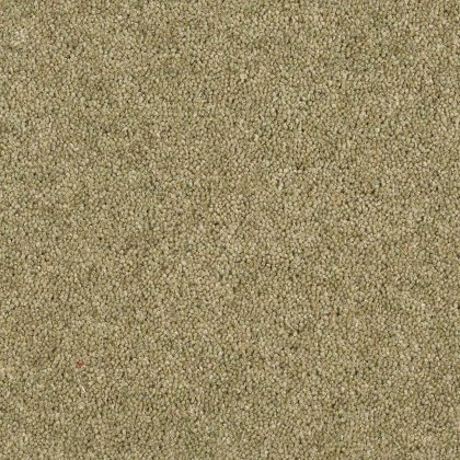Aldiss Heritage Twist in Olive Garden Carpet Aldiss Heritage Twist in Olive Garden Carpet