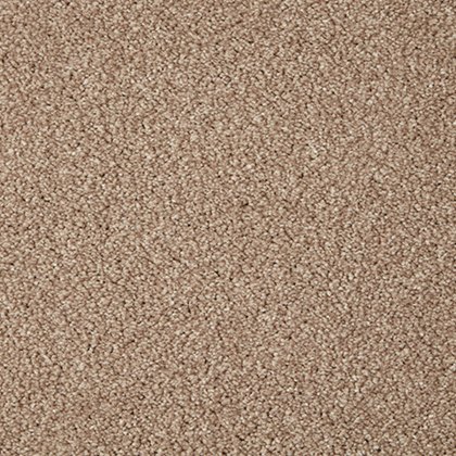 Primo Grande Roll Stock In Curlew Carpet Primo Grande Roll Stock In Curlew Carpet
