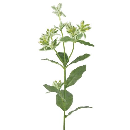Floralsilk Euphorbia Spray Floralsilk Euphorbia Spray