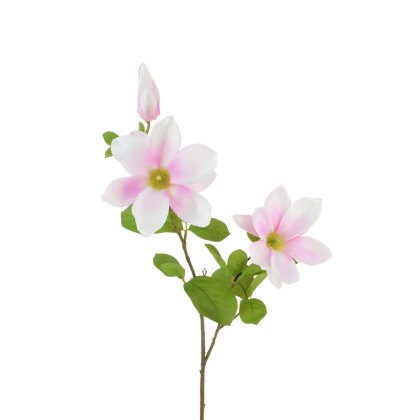 Floralsilk Pink Magnolia Wilsonii Floralsilk Pink Magnolia Wilsonii