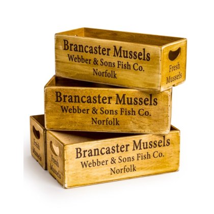 Antiqued Brancaster Mussels Wooden Box Antiqued Brancaster Mussels Wooden Box