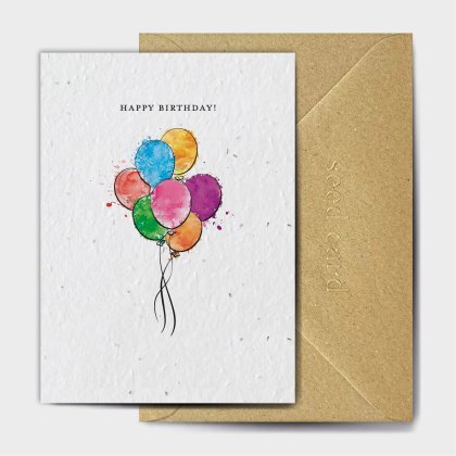 The Seed Card Company Big Bang Theory Birthday Card The Seed Card Company Big Bang Theory Birthday Card