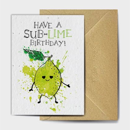 The Seed Card Company I Can Be Yellow Too You Know Birthday Card The Seed Card Company I Can Be Yellow Too You Know Birthday Card