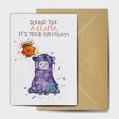 The Seed Card Company Llama Birthday Card The Seed Card Company Llama Birthday Card