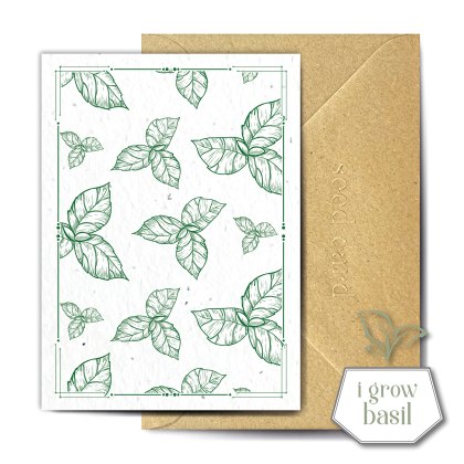 The Seed Card Company Alfbrega Greetings Card The Seed Card Company Alfbrega Greetings Card