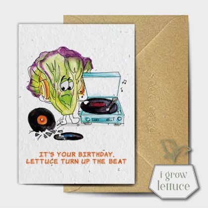 The Seed Card Company Don't Like That Album Anyway Birthday Card The Seed Card Company Don't Like That Album Anyway Birthday Card