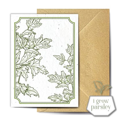 The Seed Card Company Perejil Greetings Card The Seed Card Company Perejil Greetings Card