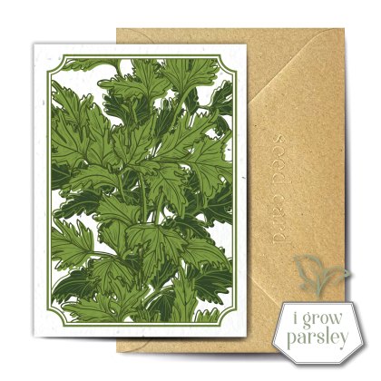 The Seed Card Company Petraol Greetings Card The Seed Card Company Petraol Greetings Card