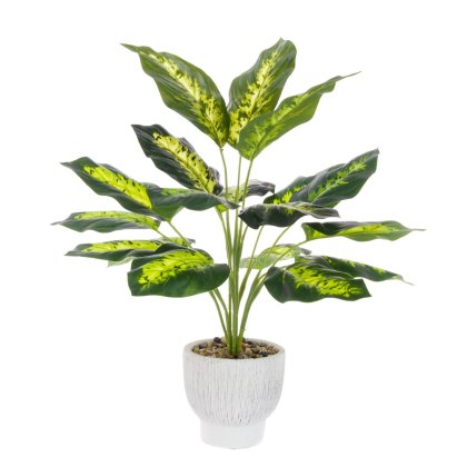 Floralsilk Dieffenbachia in Ceramic Pot Floralsilk Dieffenbachia in Ceramic Pot