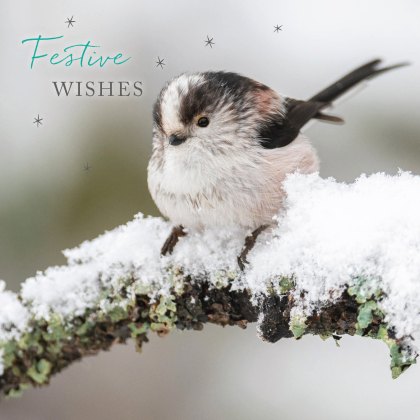 Otter House RSPB Snowflakes and Feathers Luxury Xmas Cards