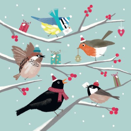 Otter House RSPB Cheery Festive Birds Small Square Xmas Cards