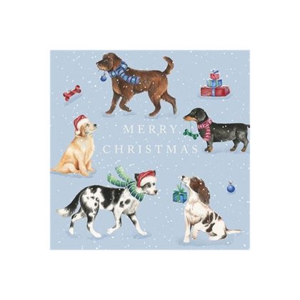 Charity Christmas Dogs with Sledge and Christmas Dogs Cards