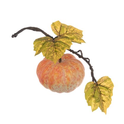 Floralsilk Pumpkin Vine Floralsilk Pumpkin Vine