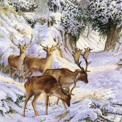 Charity Fallow Buck and Fallow Deer and Deer under Tree 12 Cards