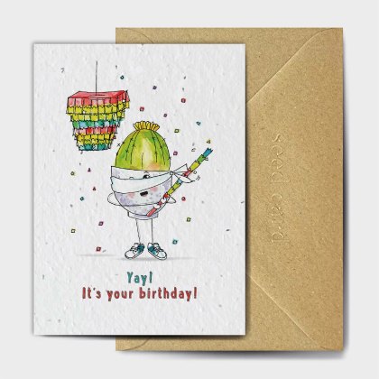 The Seed Card Company No Peeking Card The Seed Card Company No Peeking Card