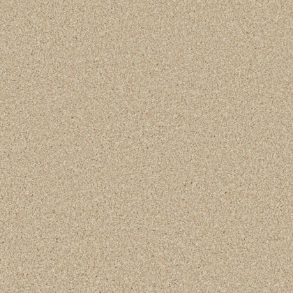 Zenith carpet in Lakeside Zenith carpet in Lakeside