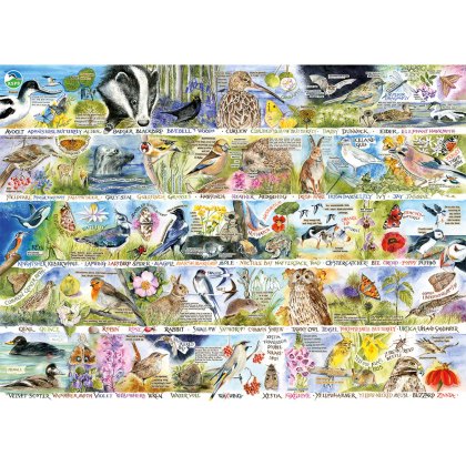 Gibsons RSPB Birdsong & Bluebells 1000 Piece Puzzle