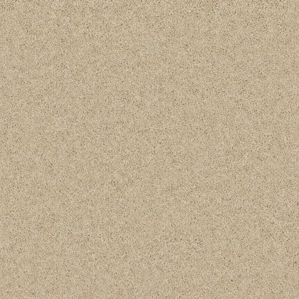 Timeless Deluxe Carpet in Pure Pebble Timeless Deluxe Carpet in Pure Pebble