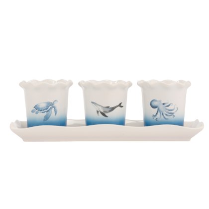 The Coast Set of 3 Herb Pots with Tray The Coast Set of 3 Herb Pots with Tray