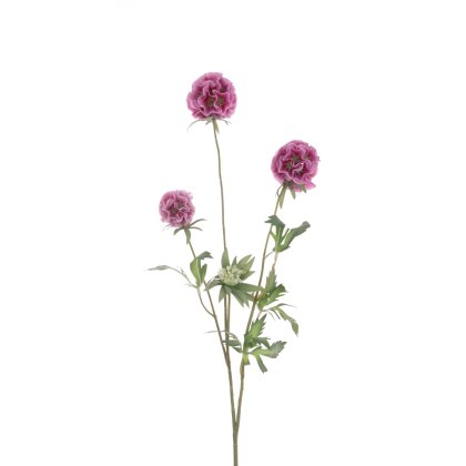 Floralsilk Pink Scabiosa Stellata Spray Floralsilk Pink Scabiosa Stellata Spray