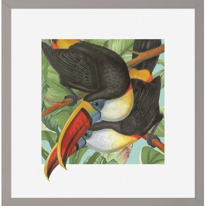 Camelot Tropical Perchers IV Framed Print Camelot Tropical Perchers IV Framed Print