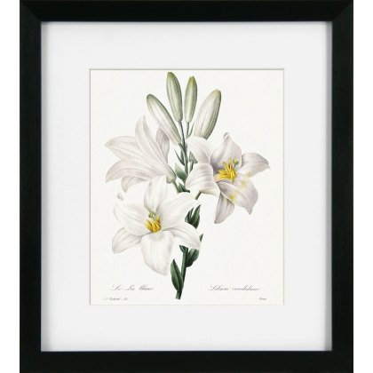 Camelot Vintage Florals VIII Camelot Vintage Florals VIII