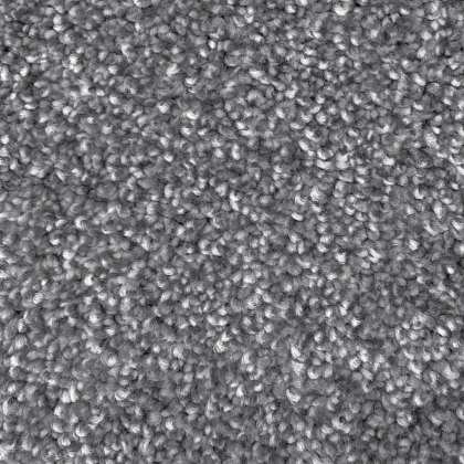 Accra Carpet in Feather Grey Accra Carpet in Feather Grey