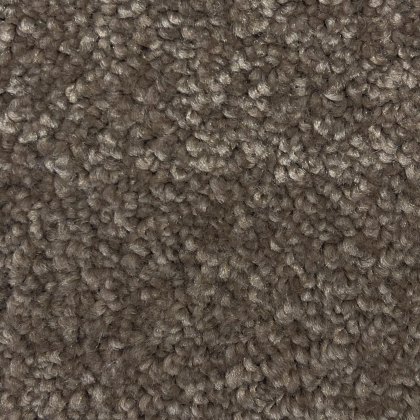Accra Carpet in Mocha Accra Carpet in Mocha