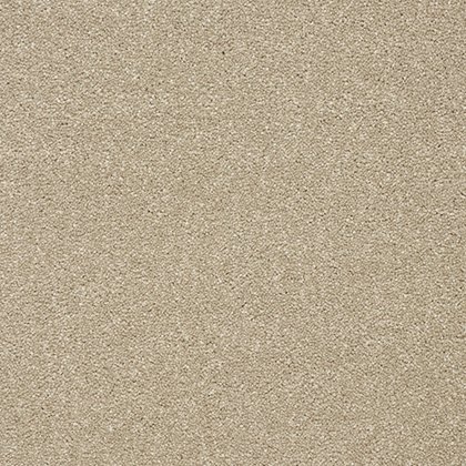 Stainfree Twist Carpet in Dark Ecru Stainfree Twist Carpet in Dark Ecru