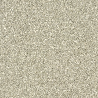 Stainfree Twist Carpet in Dove Stainfree Twist Carpet in Dove