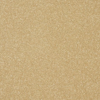 Stainfree Twist Carpet in Honey Gold Stainfree Twist Carpet in Honey Gold