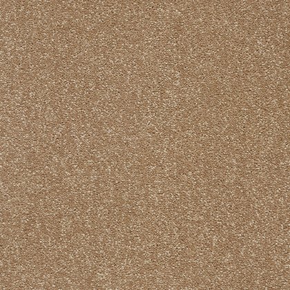 Stainfree Twist Carpet in Mocha Stainfree Twist Carpet in Mocha